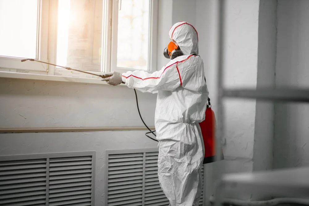 Professional mold remediation services in Fort Myers Beach, FL